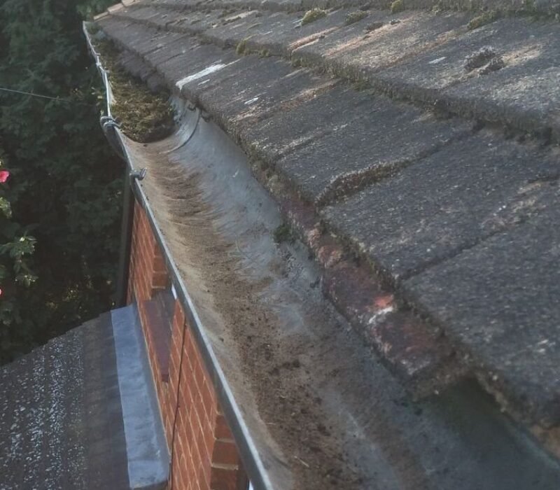 Gutter Cleaning